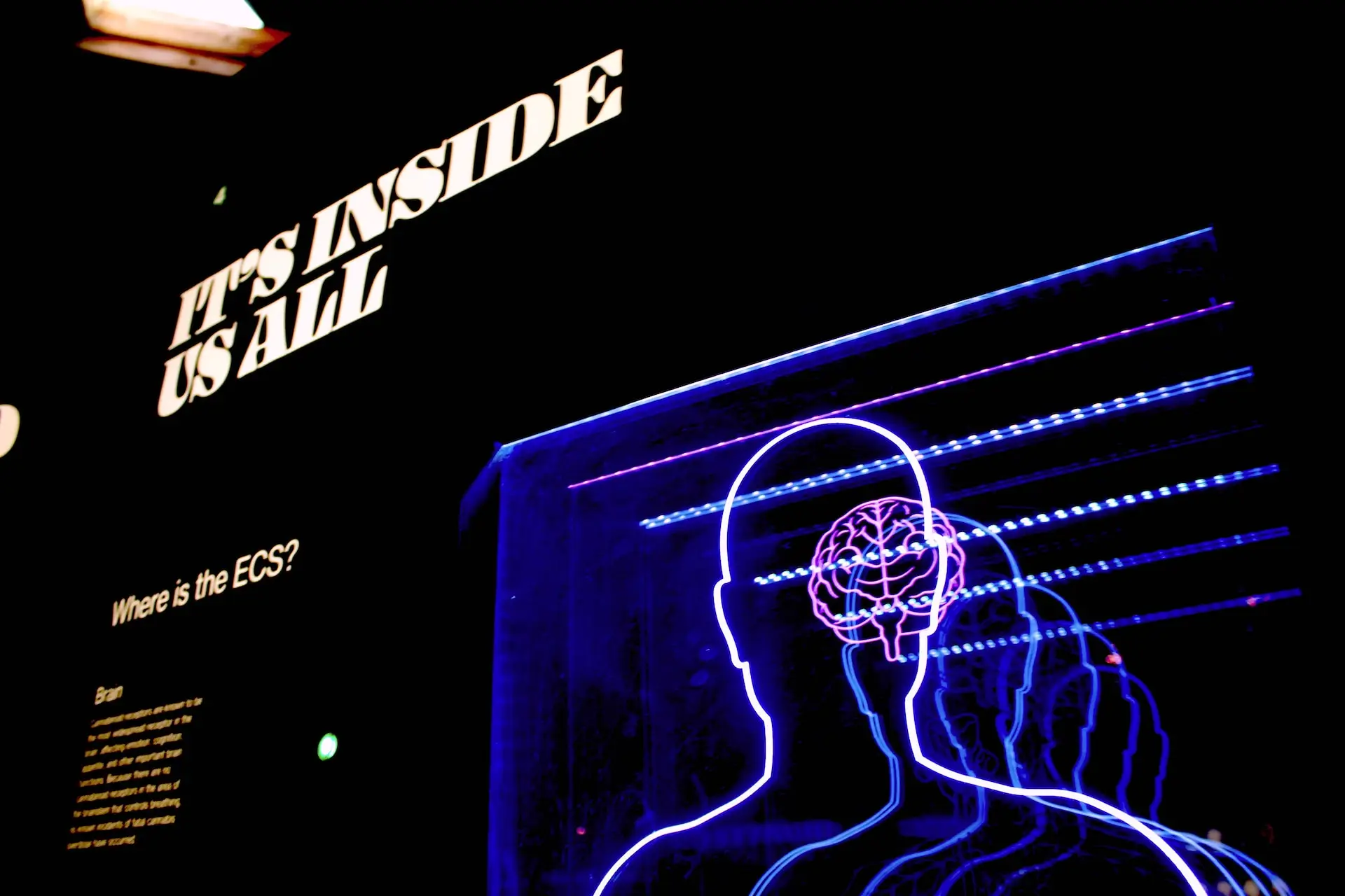 NLP - Hilfe durch "Neuro-Linguistisches Programmieren"