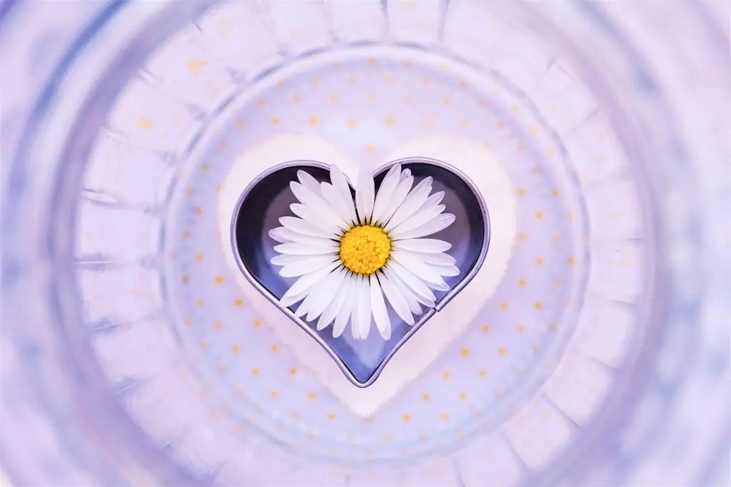 Selbstliebe: Der Schlüssel zu innerem Frieden und erfüllenden Beziehungen Selbstliebe ist die Basis für ein erfülltes und harmonisches Leben. Sie bedeutet, sich selbst in all seinen Facetten anzunehmen, sich wertzuschätzen und mit Mitgefühl und Geduld zu begegnen. Selbstliebe geht weit über oberflächliche Selbstfürsorge hinaus – sie ist ein tiefes spirituelles Prinzip, das uns dabei hilft, in Balance mit uns selbst und unserer Umwelt zu leben. Nur wenn wir uns selbst lieben und akzeptieren, können wir gesunde und erfüllende Beziehungen mit anderen aufbauen. Was ist Selbstliebe? Selbstliebe bedeutet, sich selbst bedingungslos zu akzeptieren, unabhängig von äußeren Umständen oder Bewertungen. Es geht darum, für sich selbst zu sorgen, seine eigenen Bedürfnisse zu erkennen und sich selbst dieselbe Zuneigung zu schenken, die man anderen gegenüber aufbringt. Selbstliebe beinhaltet: Sich selbst annehmen: Die eigenen Stärken und Schwächen erkennen und lieben. Für sich sorgen: Sich selbst physisch, emotional und geistig nähren. Grenzen setzen: Lernen, Nein zu sagen und sich vor negativen Einflüssen zu schützen. Geduld mit sich selbst haben: Sich selbst in schwierigen Zeiten Verständnis entgegenbringen. Sich selbst vergeben: Fehler als Teil des Lebensprozesses sehen und sich nicht übermäßig verurteilen. Warum ist Selbstliebe so wichtig? Selbstliebe ist der Grundstein für alle anderen Formen der Liebe und Beziehungen in unserem Leben. Ohne Selbstliebe fehlt uns oft die Basis für echte, tiefe Verbindungen mit anderen Menschen. Hier sind einige der wichtigsten Gründe, warum Selbstliebe so essenziell ist: Innere Heilung: Selbstliebe ermöglicht es uns, alte Wunden zu heilen und uns von negativen Gedankenmustern zu befreien. Wenn wir uns selbst lieben, können wir mitfühlender mit uns umgehen und uns selbst Vergebung schenken. Gesunde Beziehungen: Menschen, die sich selbst lieben, ziehen oft gesündere und harmonischere Beziehungen an. Sie erwarten keine Liebe oder Bestätigung von anderen, sondern begegnen ihren Partnern auf Augenhöhe. Selbstliebe verhindert Abhängigkeiten und fördert authentische Verbindungen. Selbstbewusstsein und Lebensfreude: Mit einem starken Fundament der Selbstliebe wächst unser Selbstvertrauen und unsere Lebensfreude. Wir nehmen Herausforderungen leichter an und stehen zu unseren Bedürfnissen und Träumen. Schutz vor negativem Einfluss: Wenn wir uns selbst lieben, setzen wir klare Grenzen gegenüber negativen Einflüssen oder toxischen Beziehungen. Selbstliebe schützt uns vor Ausbeutung und ermöglicht es uns, gesunde Entscheidungen für unser Wohlbefinden zu treffen. Wie kannst du Selbstliebe praktizieren? Selbstliebe ist eine Praxis, die sich durch tägliche Aufmerksamkeit und Hingabe entwickelt. Hier sind einige Wege, wie du die Selbstliebe in dein Leben integrieren kannst: 1. Achtsamkeit und Selbstreflexion Nimm dir regelmäßig Zeit, um in dich hineinzuhorchen und deine Gedanken und Gefühle zu beobachten. Achtsamkeit hilft dir, bewusst wahrzunehmen, wie du über dich selbst denkst und welche Muster dich möglicherweise davon abhalten, dich selbst zu lieben. 2. Affirmationen Affirmationen sind positive, stärkende Sätze, die dir helfen, dein Selbstbild zu transformieren. Nutze tägliche Affirmationen wie: "Ich liebe und akzeptiere mich genau so, wie ich bin." "Ich bin genug." "Ich verdiene Liebe und Respekt." Diese Sätze helfen dir, deine Gedankenmuster neu auszurichten und deine Selbstliebe zu stärken. 3. Selbstfürsorge Sich um sich selbst zu kümmern, ist ein wichtiger Teil der Selbstliebe. Achte auf deinen Körper, indem du ausreichend Schlaf, gesunde Ernährung und Bewegung integrierst. Pflege deine emotionale Gesundheit, indem du dir Pausen gönnst, Zeit für deine Hobbys findest und dich von Stress befreist. 4. Grenzen setzen Lerne, gesunde Grenzen zu setzen und Nein zu sagen, wenn es notwendig ist. Respektiere deine eigenen Bedürfnisse und lass nicht zu, dass andere dich ausnutzen oder deine Energie erschöpfen. Das Setzen von Grenzen ist ein Akt der Selbstliebe, der dir ermöglicht, dein eigenes Wohlbefinden zu schützen. 5. Vergebung Vergebung ist ein kraftvoller Akt der Selbstliebe. Verzeihe dir selbst für vergangene Fehler oder Entscheidungen, die du bereust. Selbstliebe bedeutet, die Vergangenheit loszulassen und sich auf das Hier und Jetzt zu konzentrieren. Selbstliebe und spirituelle Entwicklung In der spirituellen Praxis ist Selbstliebe ein Weg, um tiefer in das eigene Bewusstsein einzutauchen und sich mit dem höheren Selbst zu verbinden. Wenn wir uns selbst lieben, öffnen wir uns für die spirituelle Wahrheit, dass wir Teil eines größeren Ganzen sind und dass wir es wert sind, in Harmonie und Fülle zu leben. Selbstliebe fördert nicht nur unser persönliches Wachstum, sondern stärkt auch unsere Verbindung zur spirituellen Welt. Unterstützung bei GabeGottes Bei GabeGottes helfen wir dir, die Kraft der Selbstliebe in deinem Leben zu aktivieren. Unsere spirituellen Berater unterstützen dich durch Meditation, spirituelle Heilung und Selbstliebe-Rituale, um dich mit deinem wahren Selbst zu verbinden und alte negative Muster zu durchbrechen. Selbstliebe ist der erste Schritt zu einem erfüllten Leben, und wir stehen dir auf deinem Weg der inneren Heilung zur Seite.