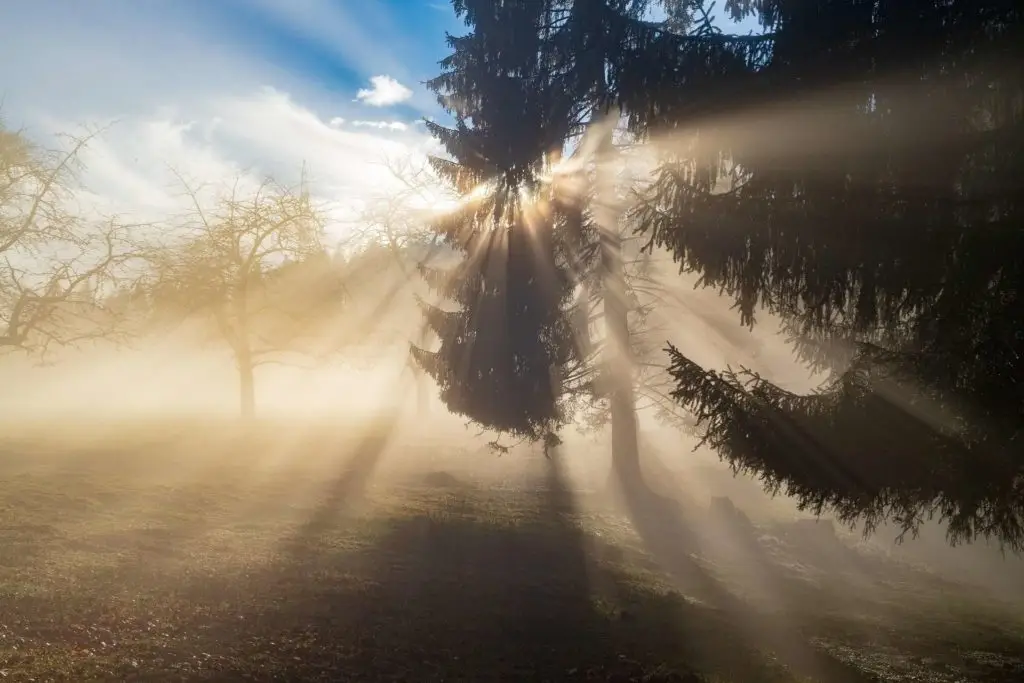 Mystischer Nebel Ein Schleier zwischen den Welten