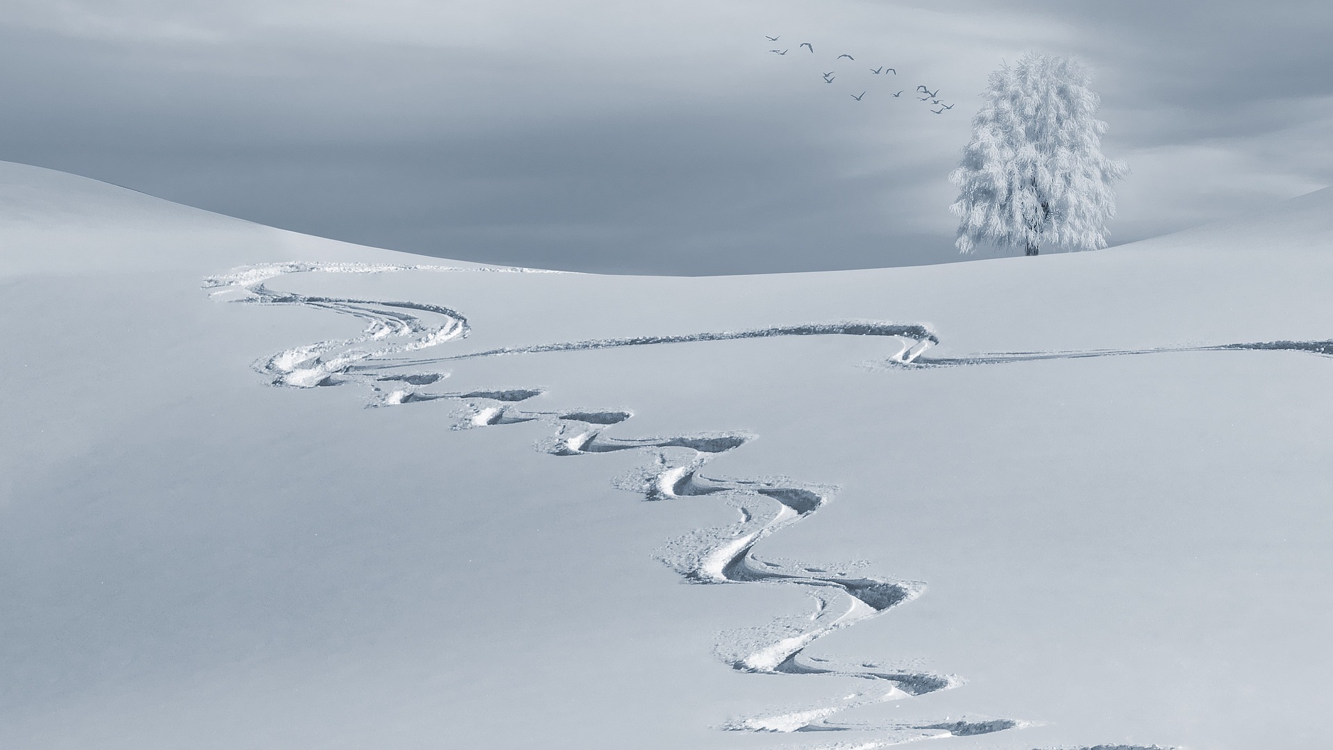 Traumdeutung von Schnee - Was bedeutet Schneien im Traum?